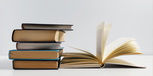 rapport d'activités